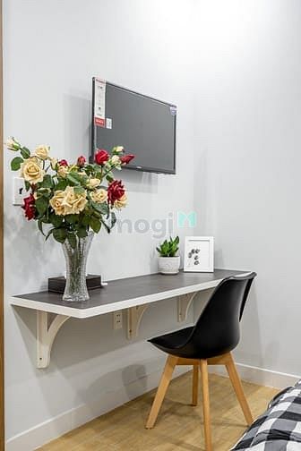 Hình ảnh 🔥🔥Khai Trương Căn Hộ, Đinh Bộ Lĩnh, Bình Thạnh, 25m - 40m