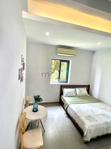 Hình ảnh Studio tách bếp máy giặt riêng, cửa sổ view sân vườn bị lãng quên