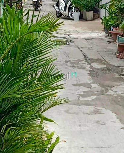 Hình ảnh Giảm sốc 600tr Biệt thự Siêu VIP Q10