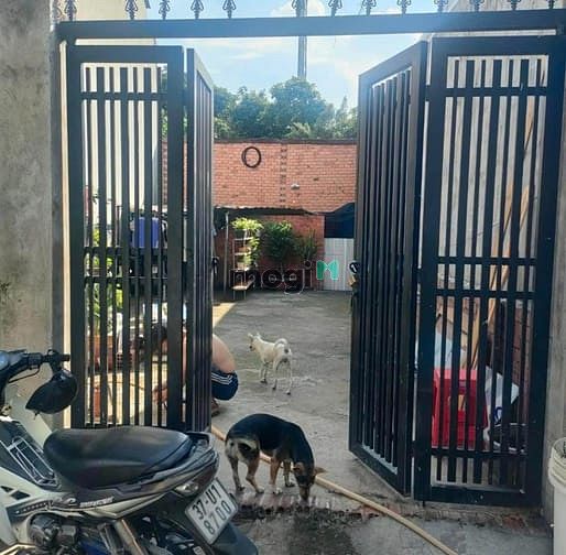 Hình ảnh Bán Lô Đất sổ riêng gần chợ Tân Long ngã ba ông xã tp Dĩ An BD 81,2m2