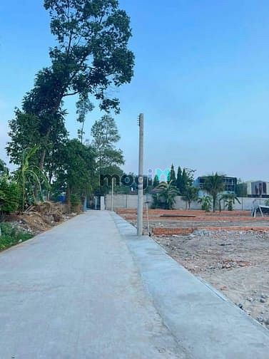 Hình ảnh đất ngộp cần bán gấp Trang MB66.COM Chính Thức - MB 66 Uy Tín sinh lời