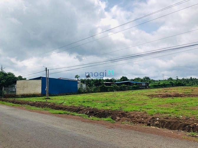 Hình ảnh cần bán 3065m2 đất ngay chợ gần kcn. giá 230tr