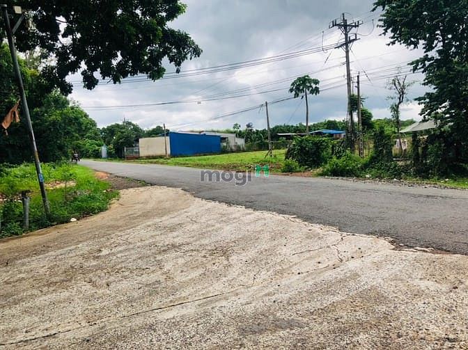 Hình ảnh cần bán 1014m2 đất ngay đường tỉnh 42m ở chợ. giá 270 triệu