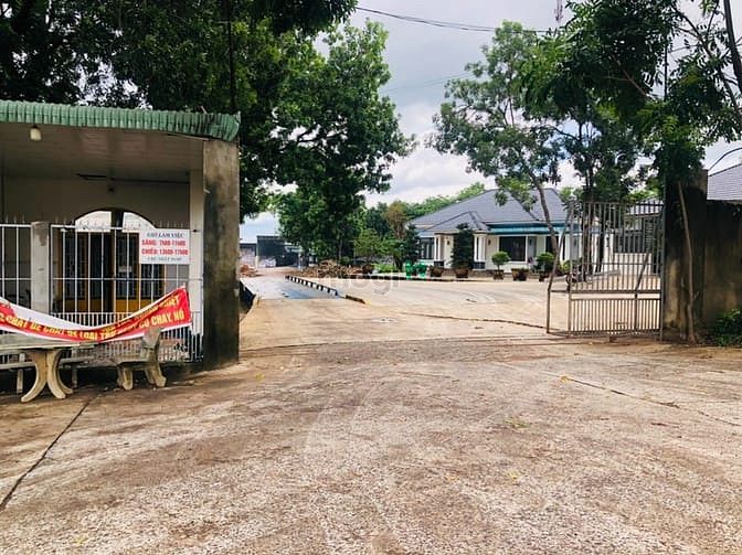 Hình ảnh cần bán 1014m2 đất ngay đường tỉnh 42m ở chợ. giá 270 triệu