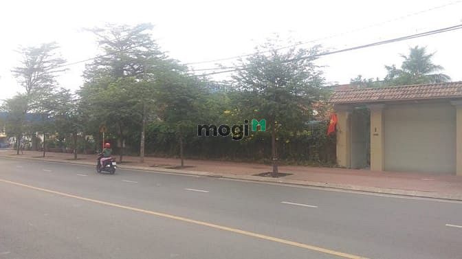 Hình ảnh Quỹ đất lớn 1433,2m2 full thổ góc 2MT Nguyễn Văn Bá - Pasteur Thủ Đức