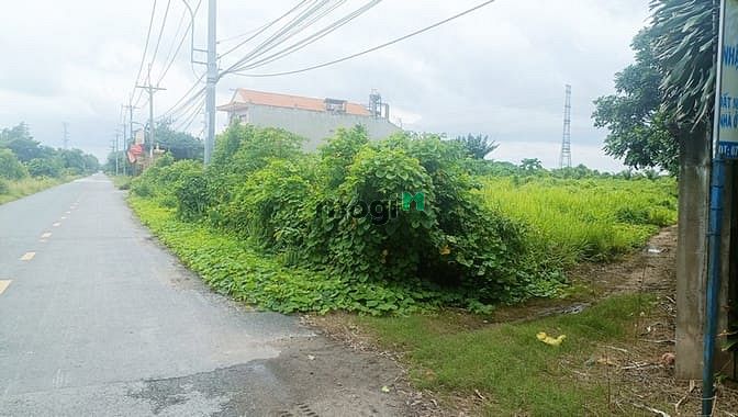 Hình ảnh Bán đất 2 mặt tiền đường Trung An - 486m2 - 15.6x56 - 285m2 thổ cư