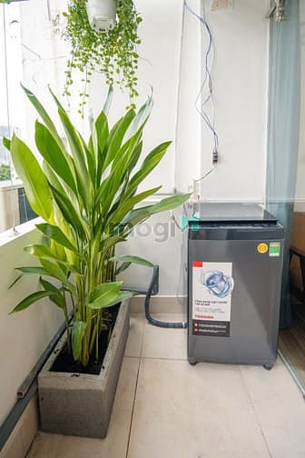Hình ảnh ✅ Studio Tách Bếp, Ban Công,Thoáng Mát, Full NT. Trung Tâm Bình Thạnh.