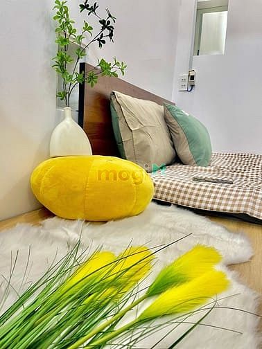Hình ảnh CHO THUÊ CĂN 2PN Thoáng mát Có nội Thất