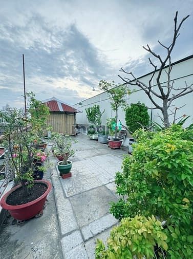 Hình ảnh Nhà Hẻm 10m Phan Văn Khỏe 5 tầng, 80m2 4x20 vuông vức, nhỉnh 9 tỷ TL
