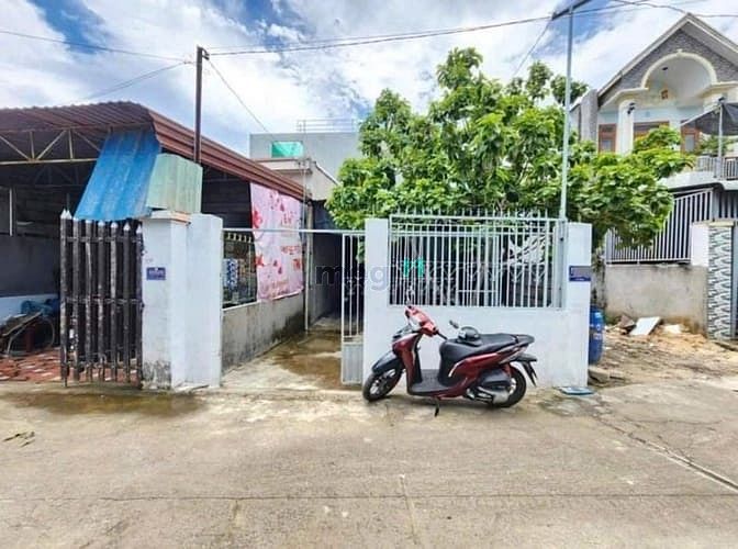 Hình ảnh Bán Đất sổ riêng Tặng Luôn Nhà Cấp 4.gần ngã tư chiêu liêu, dĩ an BD