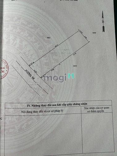 Hình ảnh Bán Đất sổ riêng Tặng Luôn Nhà Cấp 4.gần ngã tư chiêu liêu, dĩ an BD