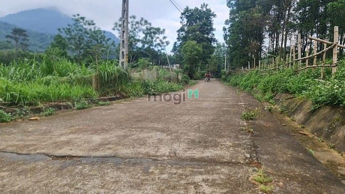 Hình ảnh Bán đất nghỉ dưỡng view cực đỉnh giáp rừng thông 1801m2 chỉ 3.1 tỷ