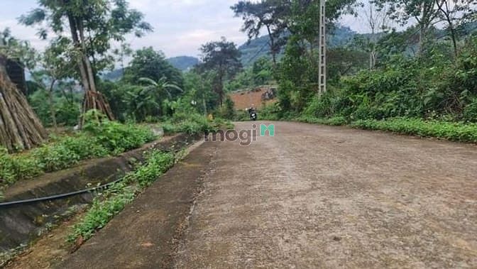 Hình ảnh Bán đất nghỉ dưỡng view cực đỉnh giáp rừng thông 1801m2 chỉ 3.1 tỷ