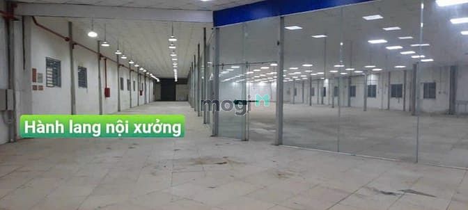 Hình ảnh Cho thuê kho 3100m, Bình Chánh Hồ Chí Minh