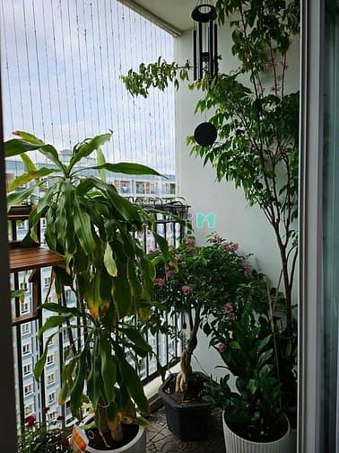 Hình ảnh Chung cư RuBy Tân Bình giá 9tr5 2pn 2wc NT 90m2 nhà mới sạch sẽ thoáng