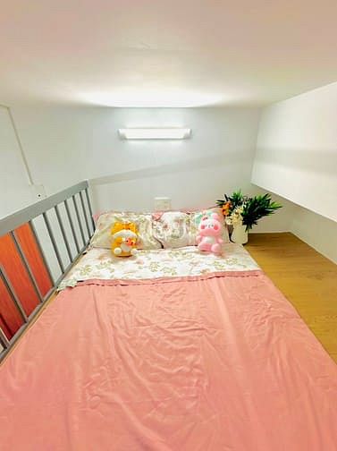 Hình ảnh Phong trọ Duplex siêu đẹp tại Gò Vấp