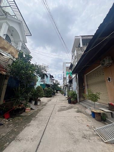 Hình ảnh Nhà ngon 50m2 không lộ giới hẻm xe hơi 6m