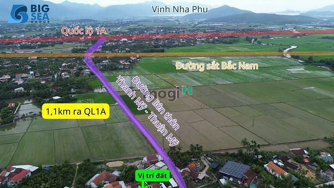 Hình ảnh Cần Bán 106 m2 Đất Full Thổ Cư tại TX Ninh Hòa - Khánh Hòa