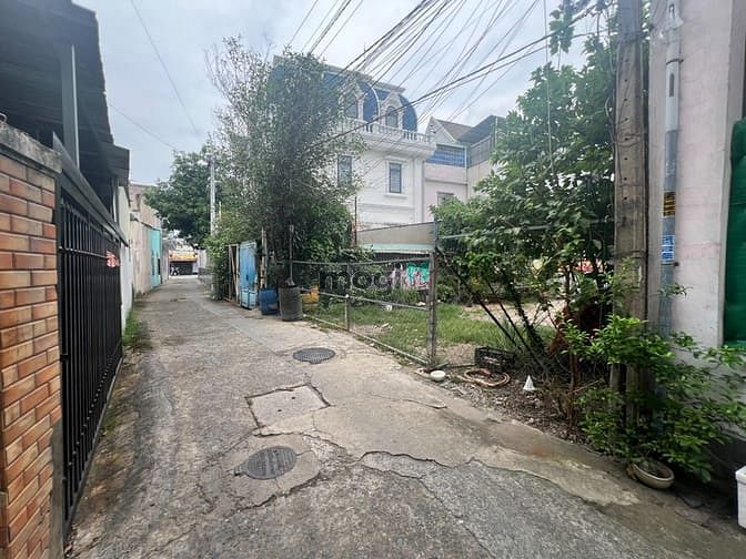 Hình ảnh Cho thuê đất trống Bình Dương ( 279m2 - 9x31m)