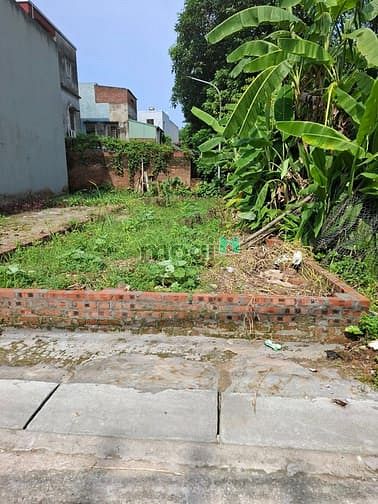 Hình ảnh Bán đất lương quy – xuân nộn, 55m x 4m oto tải vào nhà, thông ô bàn