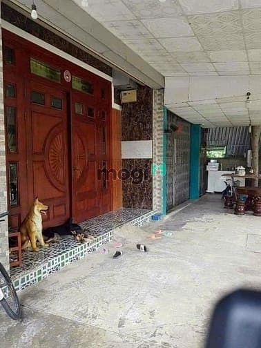 Hình ảnh Bán lô đất tặng 2 căn nhà gần trường cấp 1-2 Đông Hoà, Dĩ AN, BD