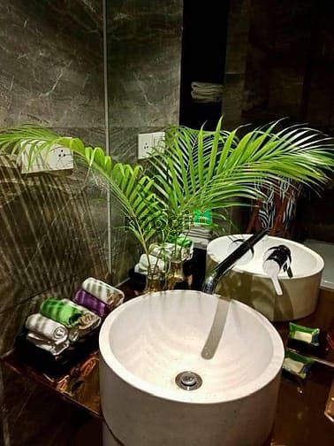 Hình ảnh 3PN Diamond Island - Nội Thất Đẹp , Sân Vườn Trồng Hoa - Giá 60tr