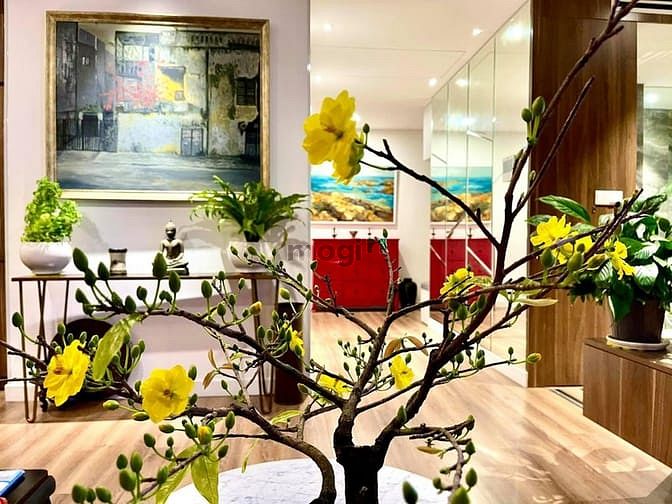 Hình ảnh 3PN Diamond Island - Nội Thất Đẹp , Sân Vườn Trồng Hoa - Giá 60tr