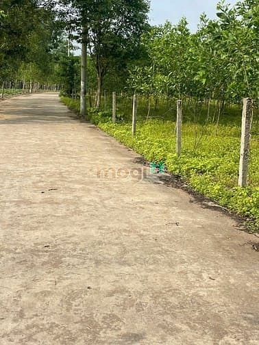 Hình ảnh đất nền sổ riêng thổ cư giáp thị trấn trảng bom