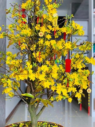 Hình ảnh 1PN One Verandah - Giá Rẻ Nhất Phân Khúc , NT Đẹp , View Sông - 14tr