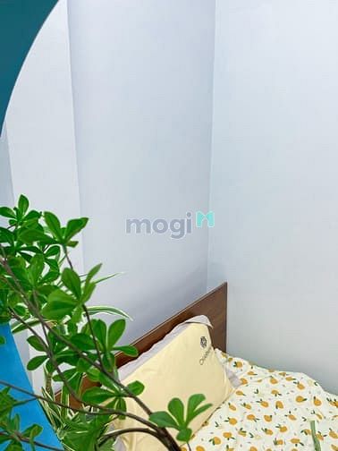 Hình ảnh 🚀🚀 Free phí quản lí Căn Hộ 2 Phòng Ngủ 1Wc Cửa sổ trời