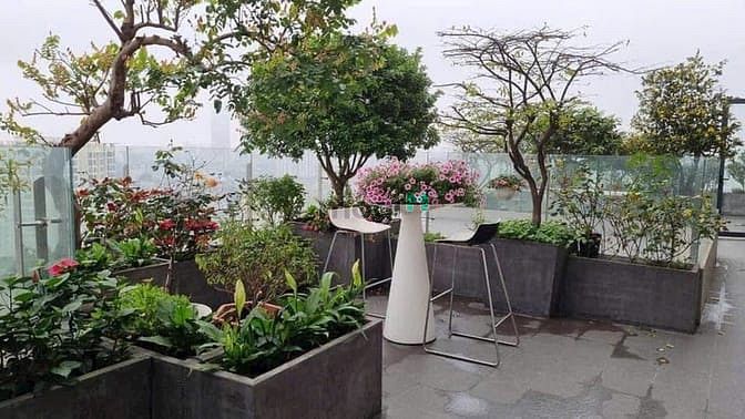 Hình ảnh Bán Trang Chủ MB66.COM / Đăng Ký Tặng 66K Duplex Vũ Phạm Hàm , diện tích:286 m2