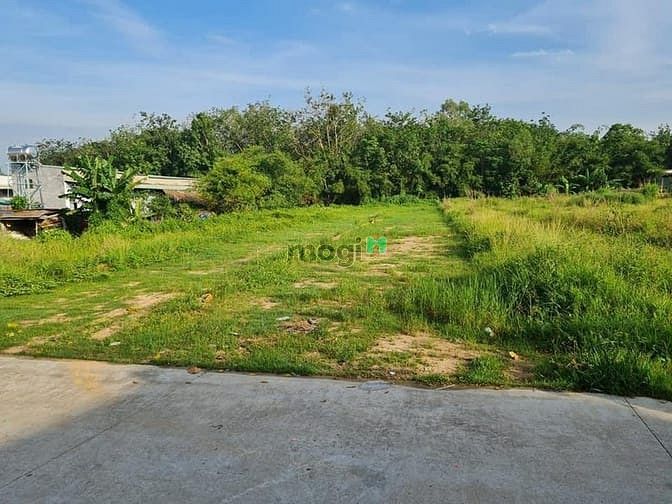 Hình ảnh Cắt lỗ bán mảnh 2002m2 TC giá 190 triệu (giá 100% bao sổ) SHR
