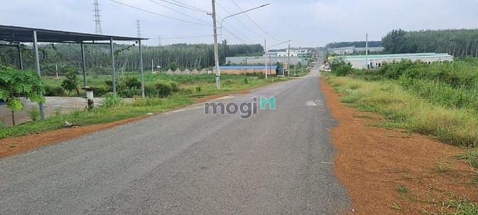 Hình ảnh Cắt lỗ bán mảnh 2002m2 TC giá 190 triệu (giá 100% bao sổ) SHR