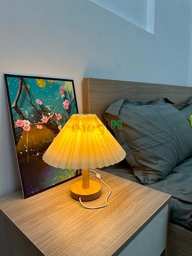 Hình ảnh Phòng Trọ Studio Siêu Đẹp nằm ngày Cộng Hoà