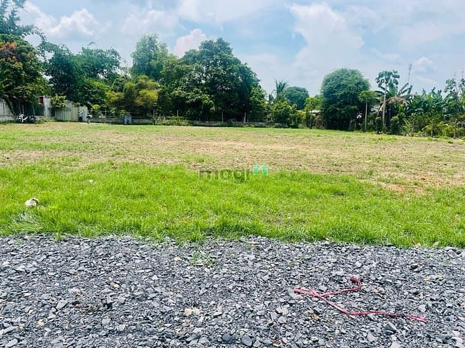 Hình ảnh Đất thổ cư xây dựng tự do, 1sẹt tỉnh lộ 15 vào 150m tới đất. Giá ngộp