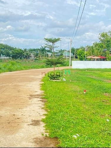 Hình ảnh Cắt lỗ 300TR GIÁ CÒN 250TR BÁN LÔ 500M2, SHR, VT Dân Cư Đông Dúc