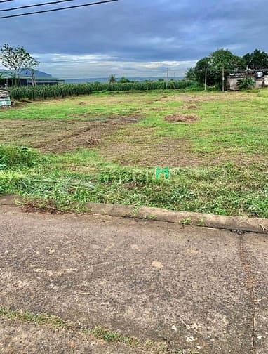 Hình ảnh Kẹt Tiền Sang Lỗ 1000m2 Đất Thổ Cư Shr Mt Tỉnh Lộ Cạnh Chợ GIÁ 260TR