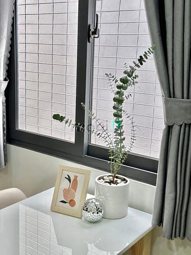 Hình ảnh 🌈 🌈 CH Studio Balcony Full nội thất gần P Đăng Lưu, VLU, VHU 🌈 🌈
