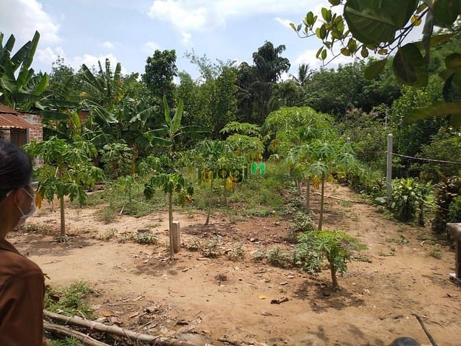 Hình ảnh Bán đất thổ cư QL 22B, Gò Dầu, Tây Ninh