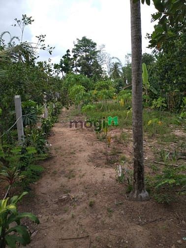 Hình ảnh Bán đất thổ cư QL 22B, Gò Dầu, Tây Ninh