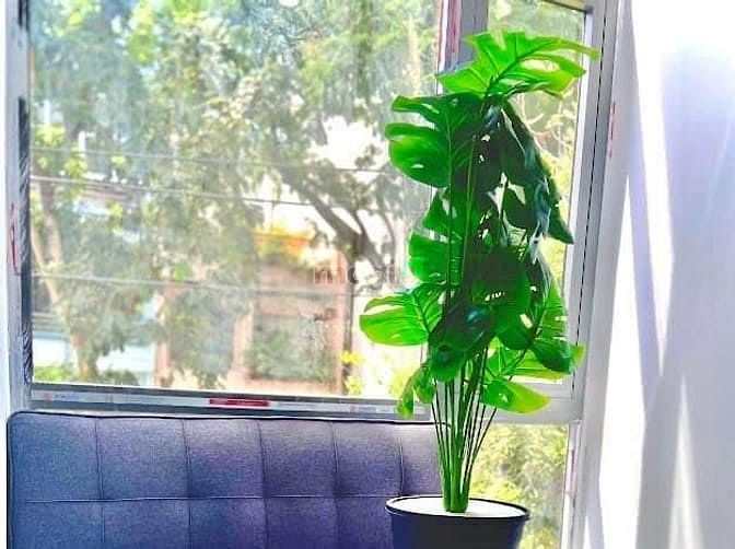 Hình ảnh STUDIO ban công ngay CMT8 - Giá siêu tôtd