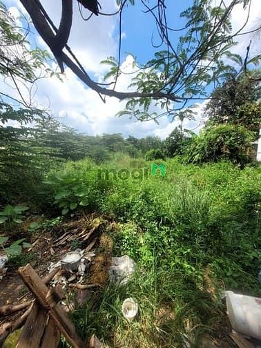 Hình ảnh Cho thuê đất an phú đông 3 q12 DT 20x70m đường xe 10tấn Giá 20tr tháng