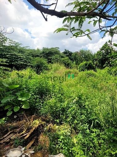 Hình ảnh Cho thuê đất an phú đông 3 q12 DT 20x70m đường xe 10tấn Giá 20tr tháng