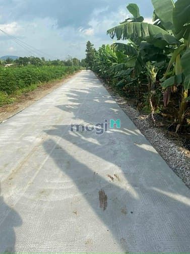 Hình ảnh bán 1 sào đất tây hòa, huyện trảng bom, tỉnh đồng nai