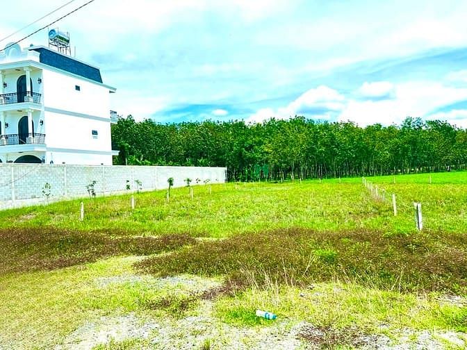 Hình ảnh Đất thổ vườn 600m2 có sẵn 60m2 thổ cư mặt tiền Kênh mát mẻ