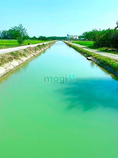Hình ảnh Đất thổ vườn 600m2 có sẵn 60m2 thổ cư mặt tiền Kênh mát mẻ