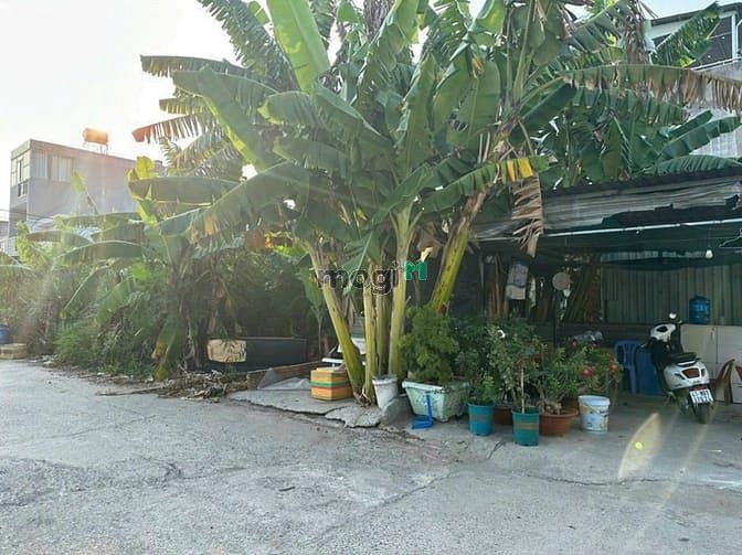 Hình ảnh Bán lô đất góc 2 mặt tiền Hẻm số 44