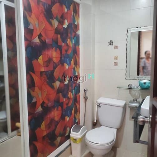 Hình ảnh Chung cư The Useful Lạc Long Quân - Quận Tân Bình 2PN 2WC