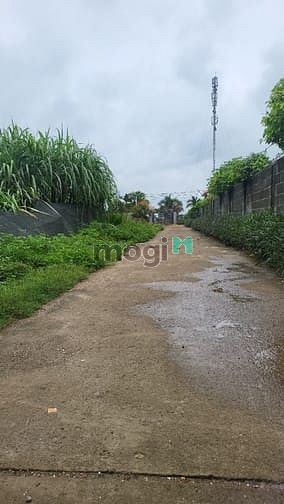 Hình ảnh Bán đất trung tâm thôn 7 xã Hòa Khánh, giá tốt cho Trang MB66.COM Chính Thức - MB 66 Uy Tín