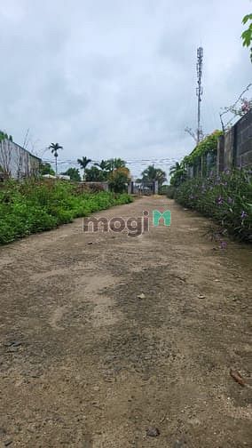 Hình ảnh Bán đất trung tâm thôn 7 xã Hòa Khánh, giá tốt cho Trang MB66.COM Chính Thức - MB 66 Uy Tín